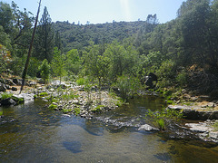 Chowchilla River (0216)