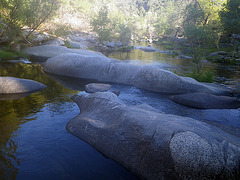 Chowchilla River (0221)