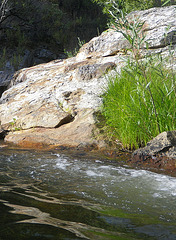 Chowchilla River (36)