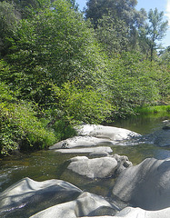 Chowchilla River (63)