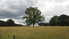 P6255454