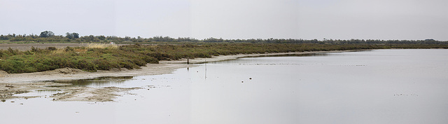 20110603 4964-72RTw [F] Camargue-Panorama 4 [Phare de la Gacholle]