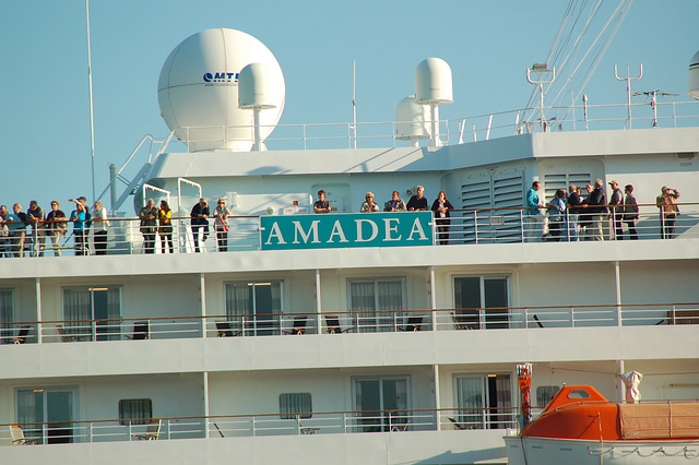 Amadea