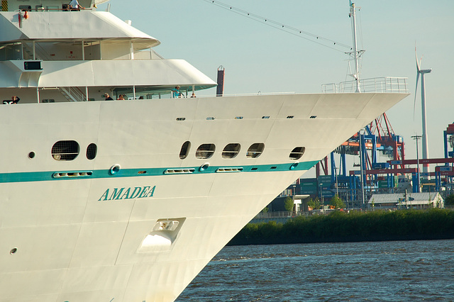 Amadea