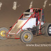 IMG 7141 copy