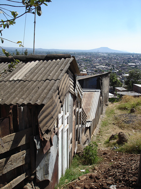 Los Reyes, Michoacán / Mexique - 27 mars 2011.