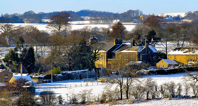 Winter landscape.