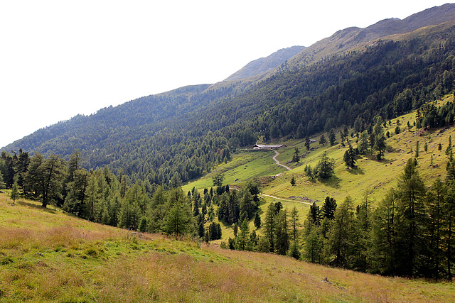 Matscher Alm