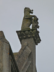 Bear on a Cold Stone Roof