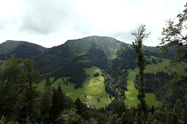 Blick vom Prodel auf den Hochgrat (Bildmitte)