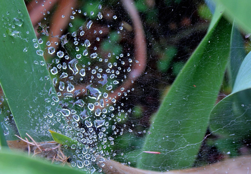 Diamants sur toile