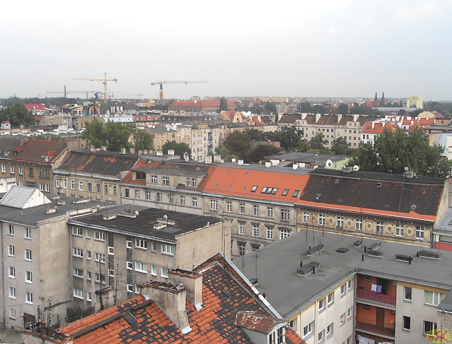 2011-08-24 10 Breslau
