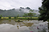 VALLEE DE MAI CHAU  VIETNAM