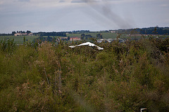 20110608 5390RAw [F] Löffler, Graureiher  [Vauvert]