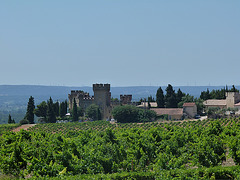 ***Chateau im Weinanbaugebiet Chateauneuf-du-Pape