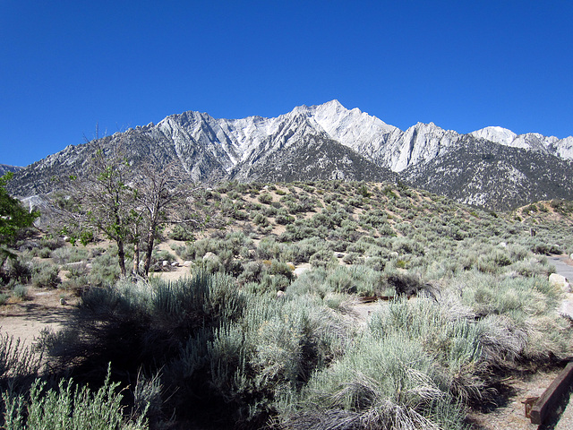 Mt. Whitney (0028)