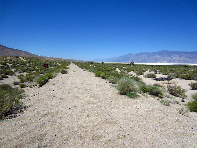 Old Railroad Bed Near Owens Lake (0142)