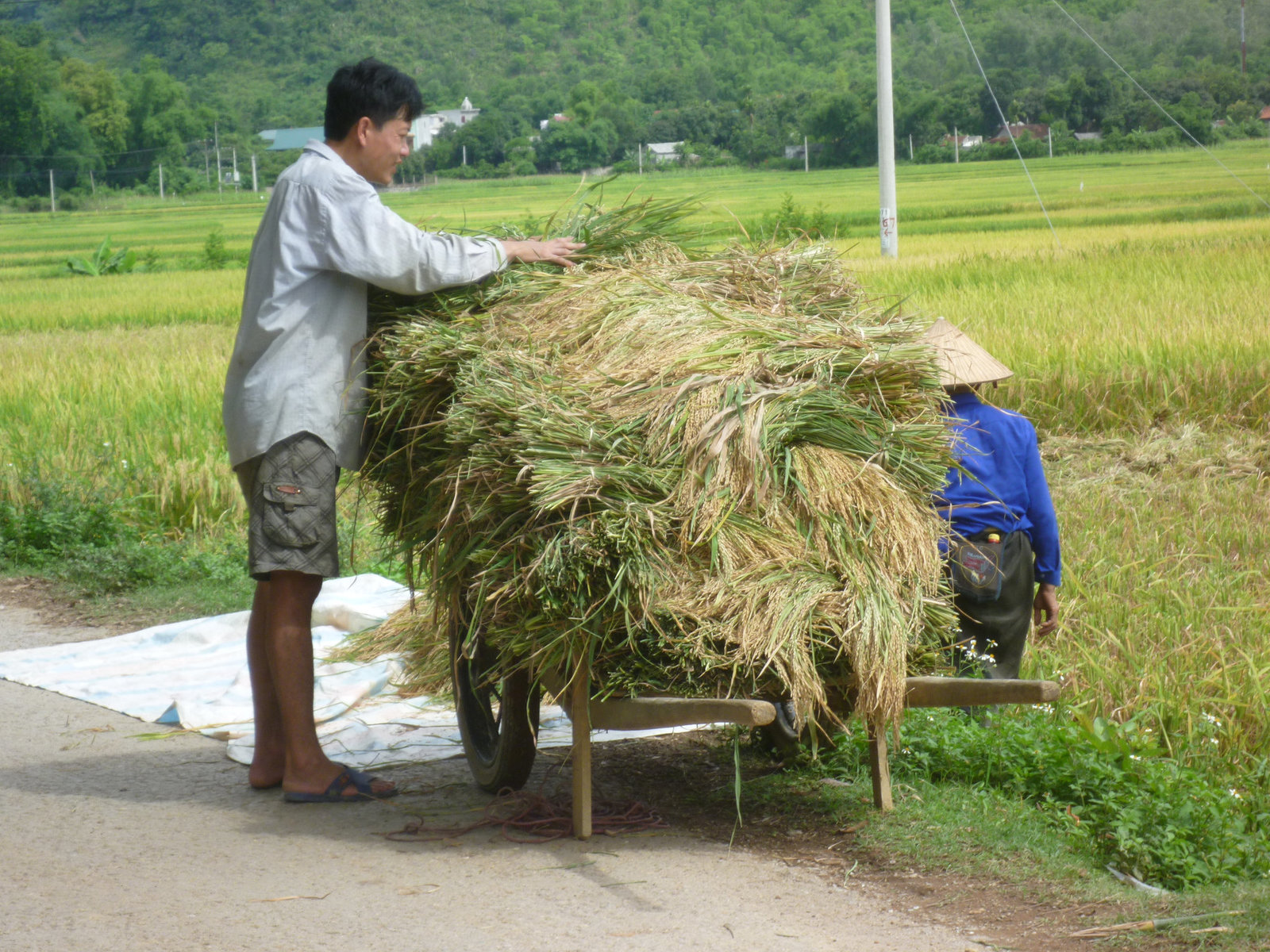 VIETNAM
