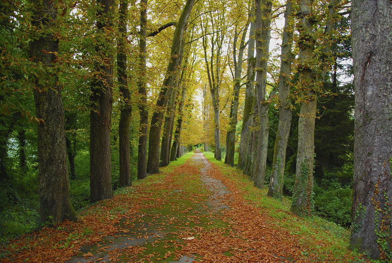 Les prémices d'un bel automne