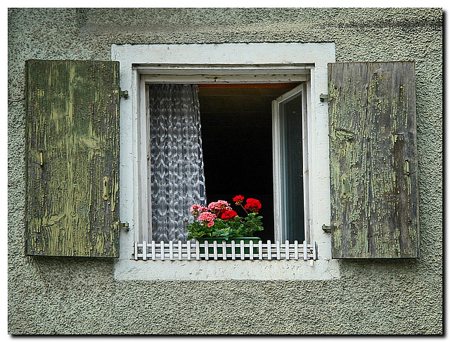 Fenster