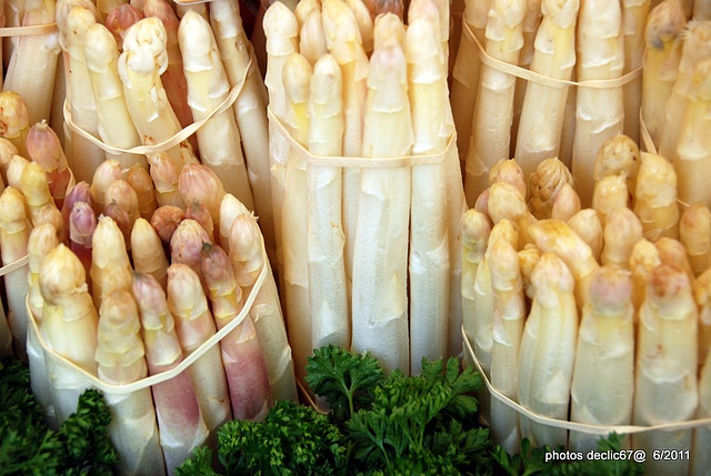 Asperges fraiches