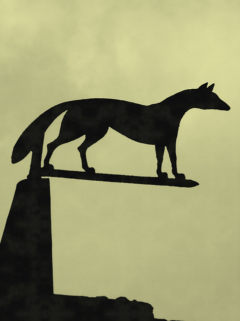 Upton House- Fox on a Roof