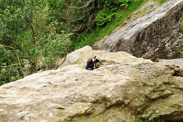 Powerscourt Waterfall