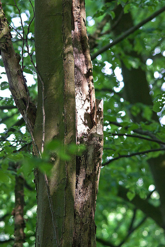 20110510 2212RTfw Licht und Schatten