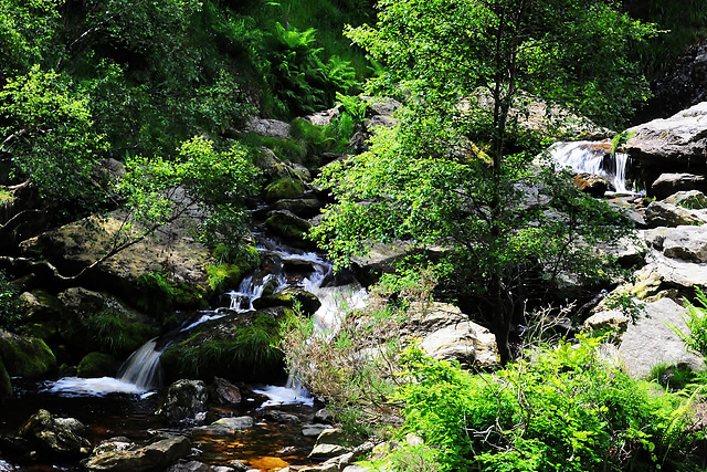 Powerscourt Waterfall