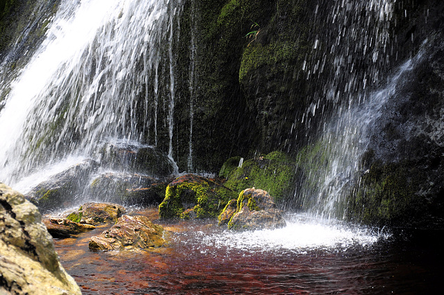 Powerscourt Waterfall