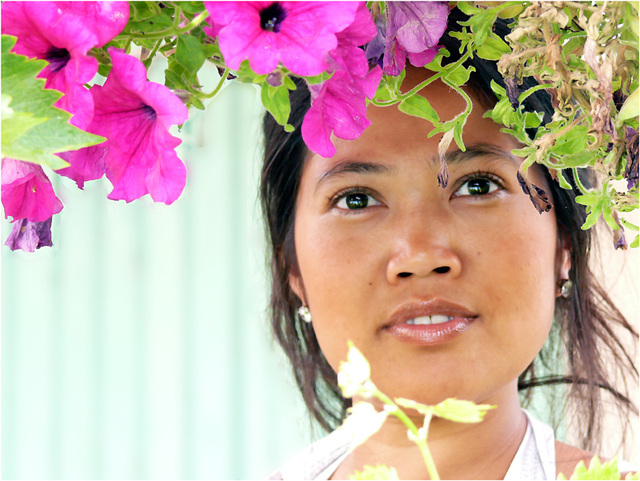 le temps des fleurs : Thara