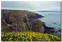 Pointe du Van