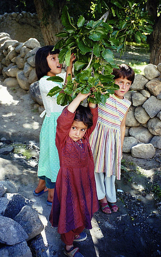 Gulmit. Far North Pakistan