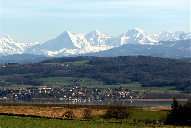 Lac de Morat et les Alpes