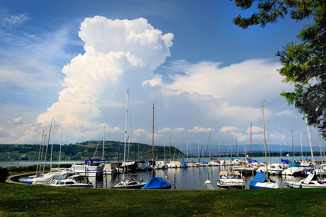 Le port de Morat...