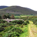 IMG 1527 Ring of Kerry