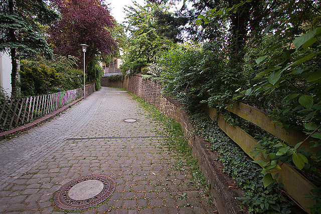 20110506 2019RWw [D~LIP] Altstadtgasse,  Bad Salzuflen