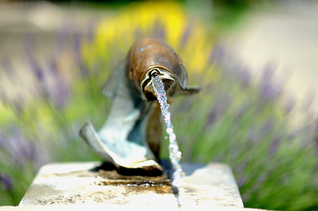 La fontaine