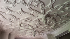 Ceiling of the dining room