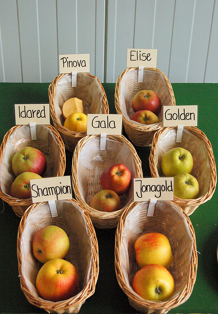 pomospecoj