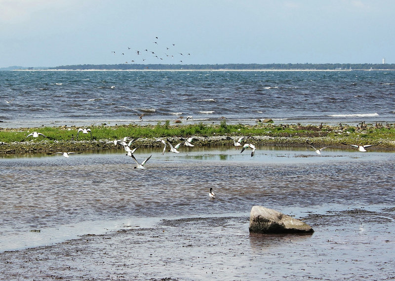 Dänemark