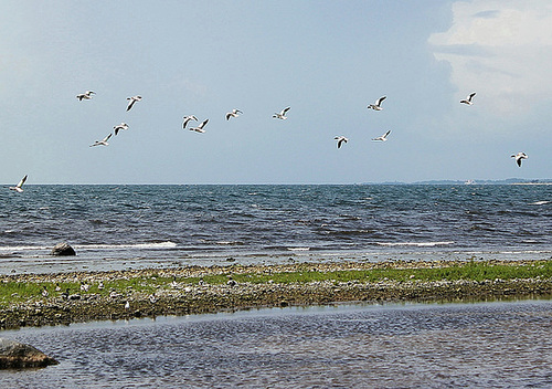 Dänemark