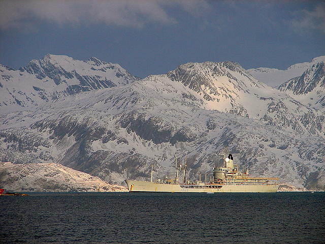 RFA GREY ROVER in South Georgia