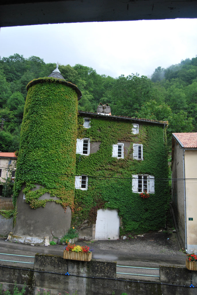 Ce matin par la fenêtre!!!le donjon du chateau