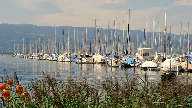 Le port