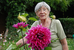 Une reine et son dahlia géant