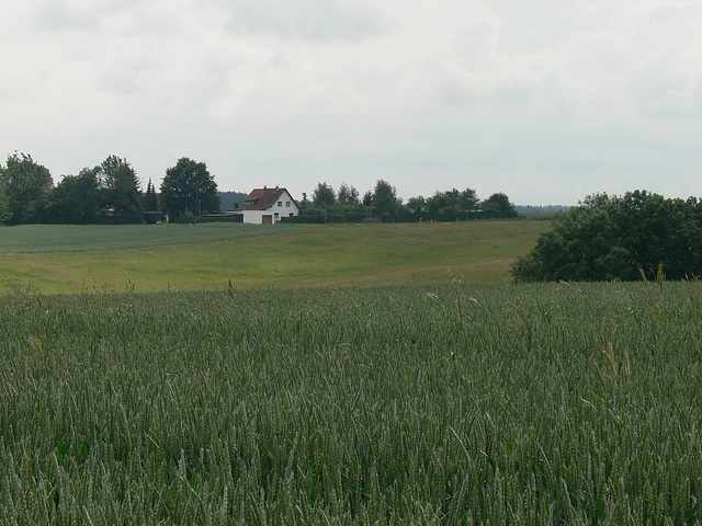 Blick in die Landschaft der Hallertau