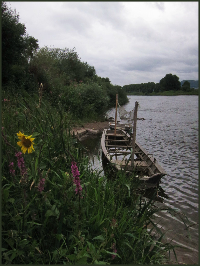 Fischerboote an der Weser