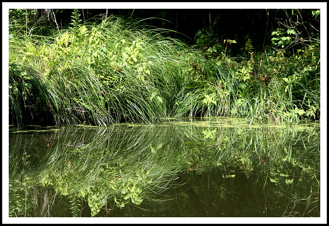 La douceur du reflet