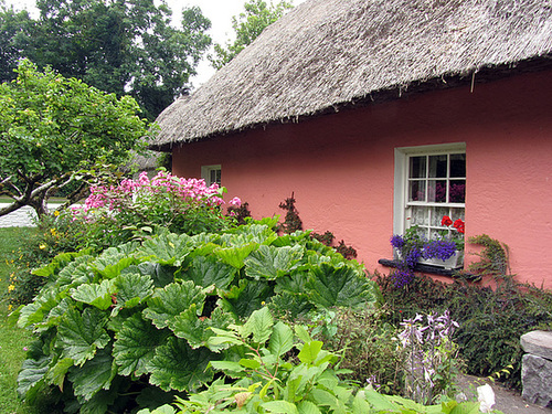 IMG 1929 Bunratty Folk Park